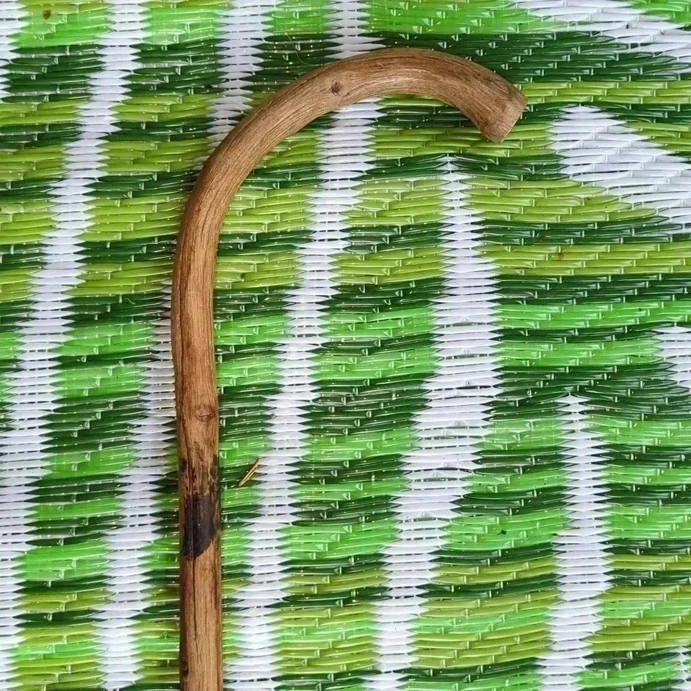 Bamboo cane - Picture 4 of 5